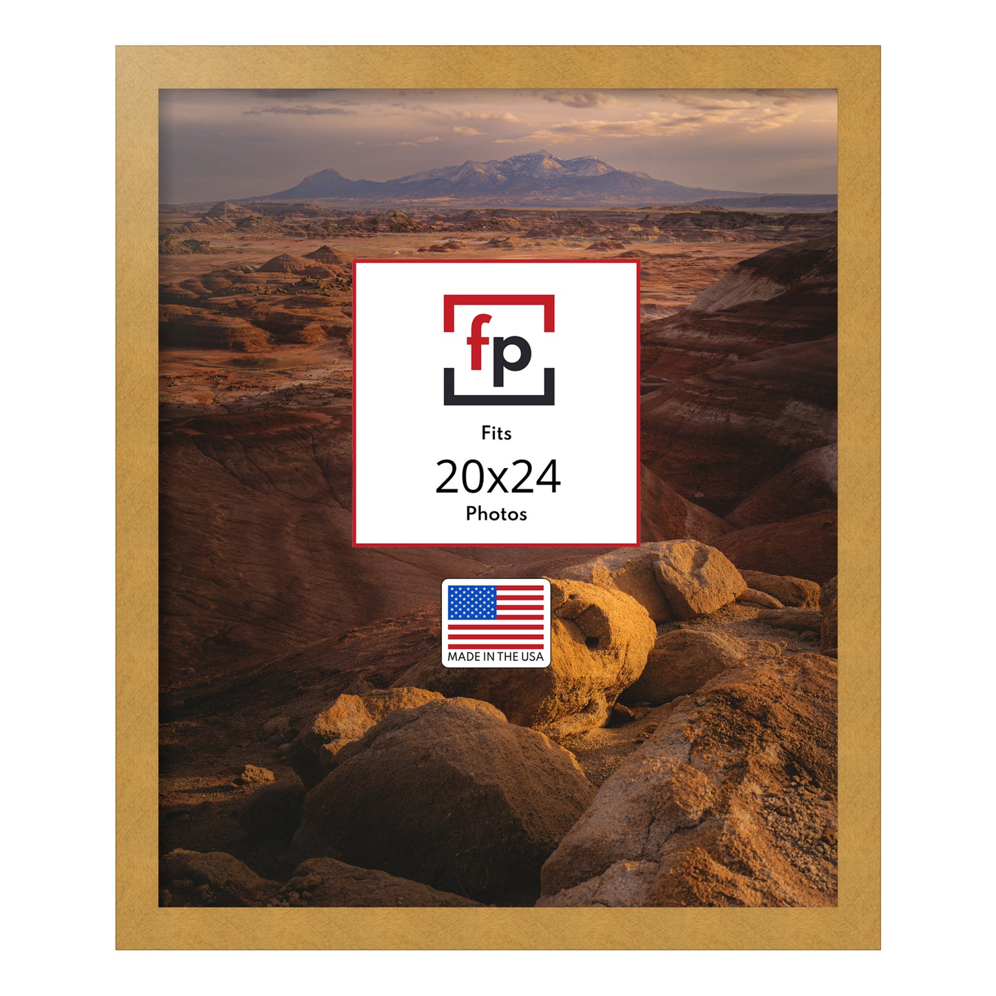 20x24 Modern Flat Picture Frame