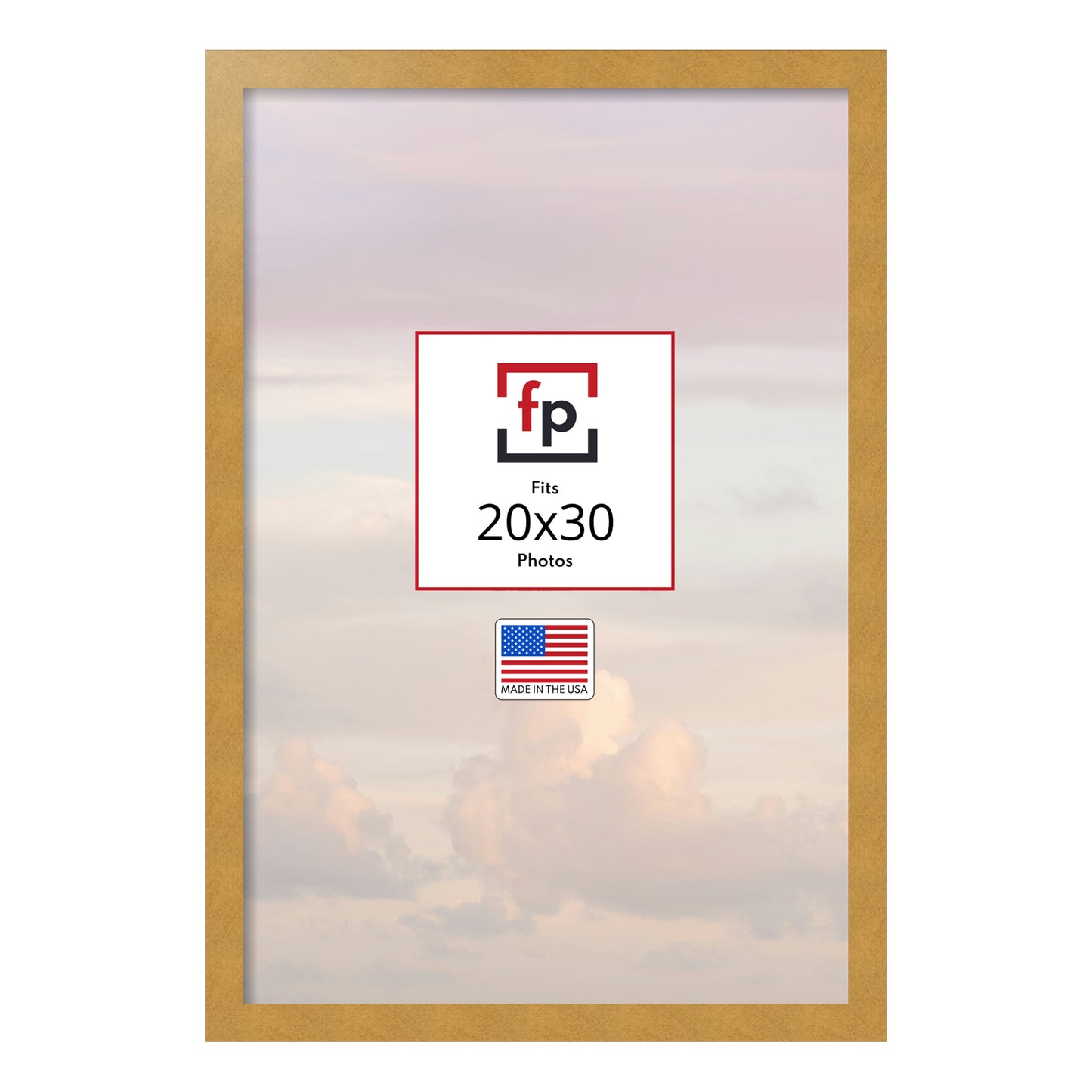 20x30 Modern Flat Picture Frame